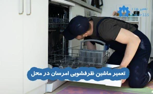 تعمیر ماشین ظرفشویی امرسان در محل