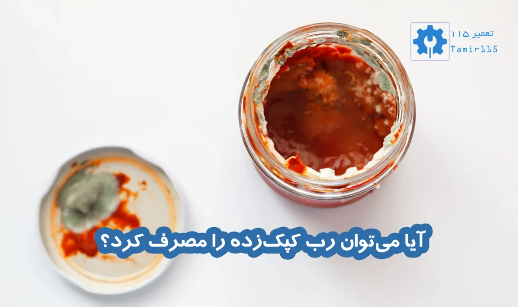 آیا میتوان رب کپکزده را مصرف کرد؟