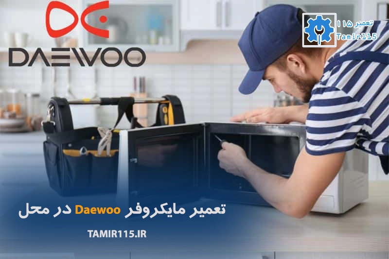 تعمیر مایکروفر دوو در محل