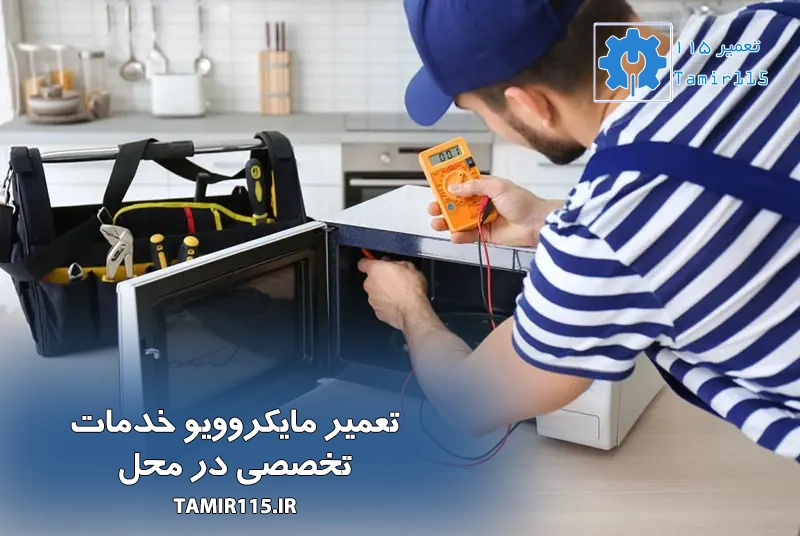 تعمیر مایکروویو در تهران و کرج