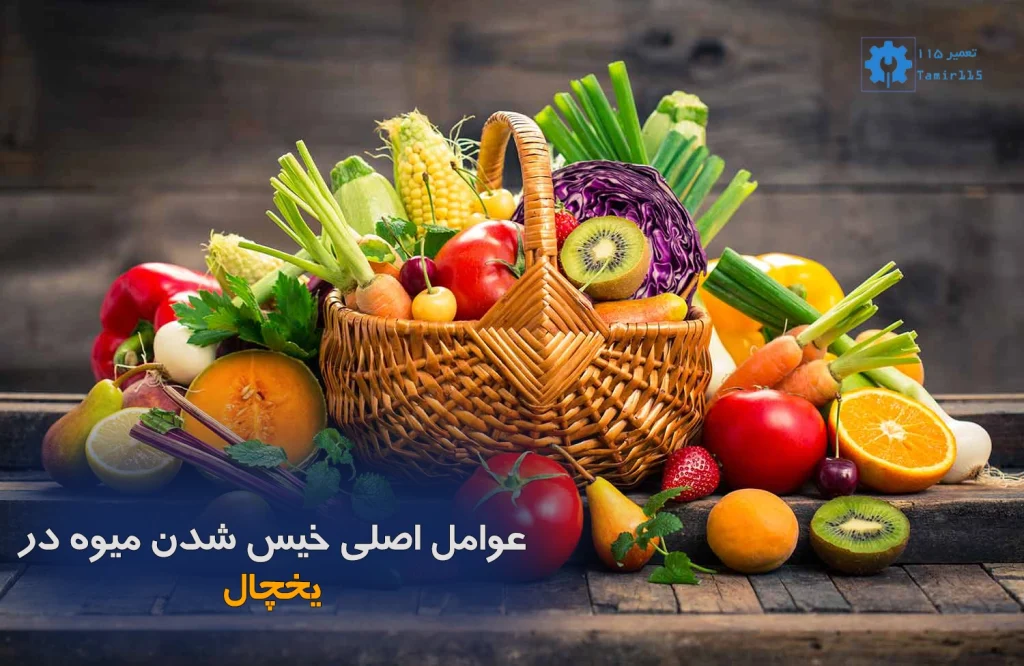 علت خیس شدن میوه در یخچال