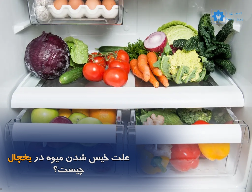 علت خیس شدن میوه در یخچال چیست؟
